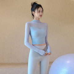 Mesh High-Neck Long Sleeve