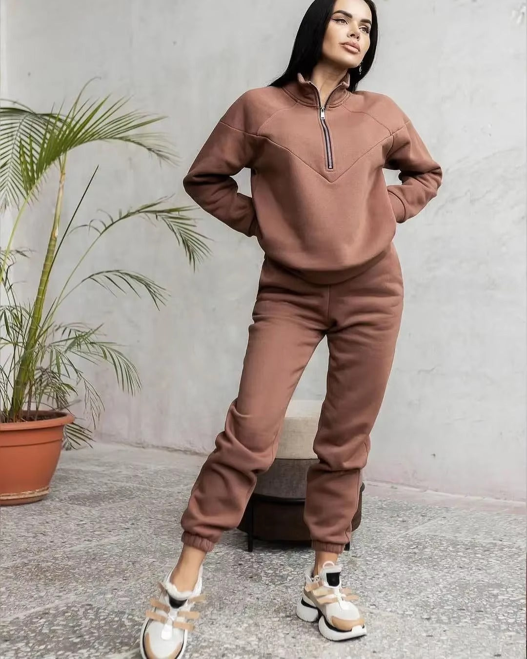 Casual Long Sleeve Solid Color Fleece Pullover Hooded Sweatshirt 2-Piece Set