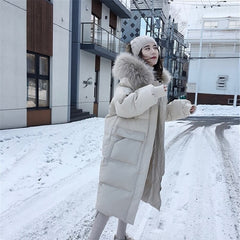 Casual Solid Hooded Jacket Large Fur Collar Coat