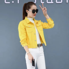Elegant Solid Full Sleeve Button Pocket Loss Slim Fit Jeans Denim Jacket