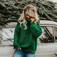 Fashion Turtle Neck Solid Color Long Sleeve Knitwear