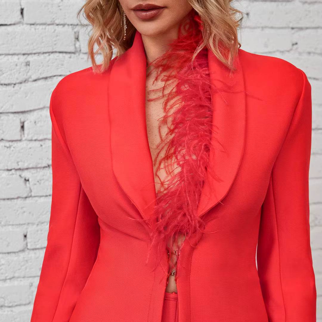 Feathers Long Sleeve Tops Blazer Straight Pants Suits Evening Party Two Piece Set