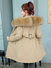 Lace Up Hooded Zipper Long Sleeves Casual Coat