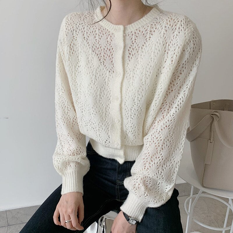 Lantern Long Sleeve Cardigan Blouse