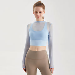Mesh long sleeve top
