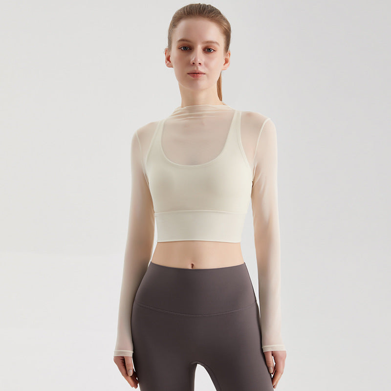 Mesh long sleeve top