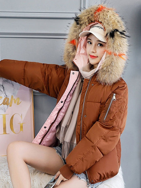 Puffer Coats Buttons Hooded Zipper Long Sleeves Color Block Casual Coat Outerwear