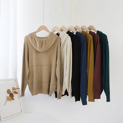 Solid Color Knitted Hooded Sweater